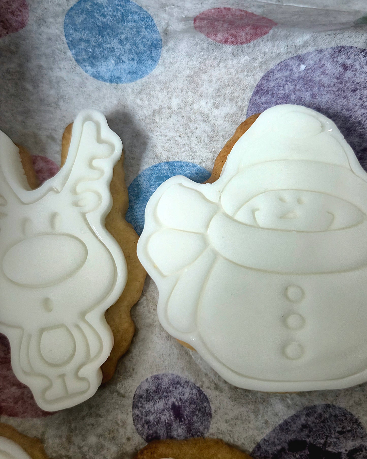 Paint Your Own Biscuits- Christmas