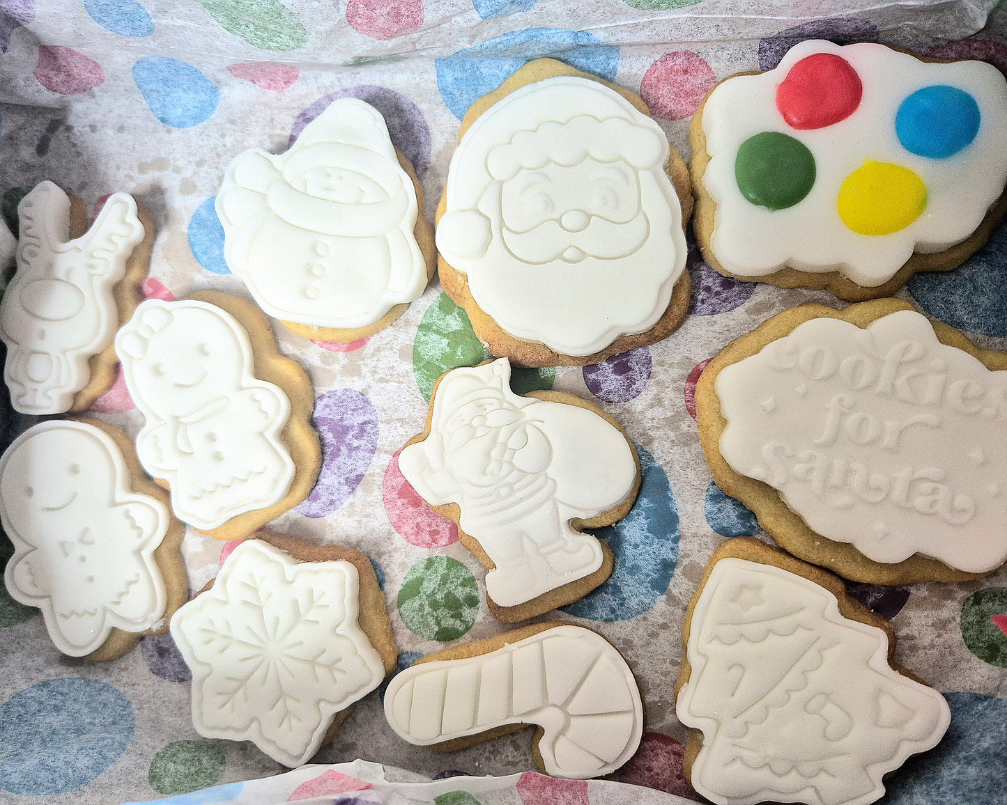 Paint Your Own Biscuits- Christmas